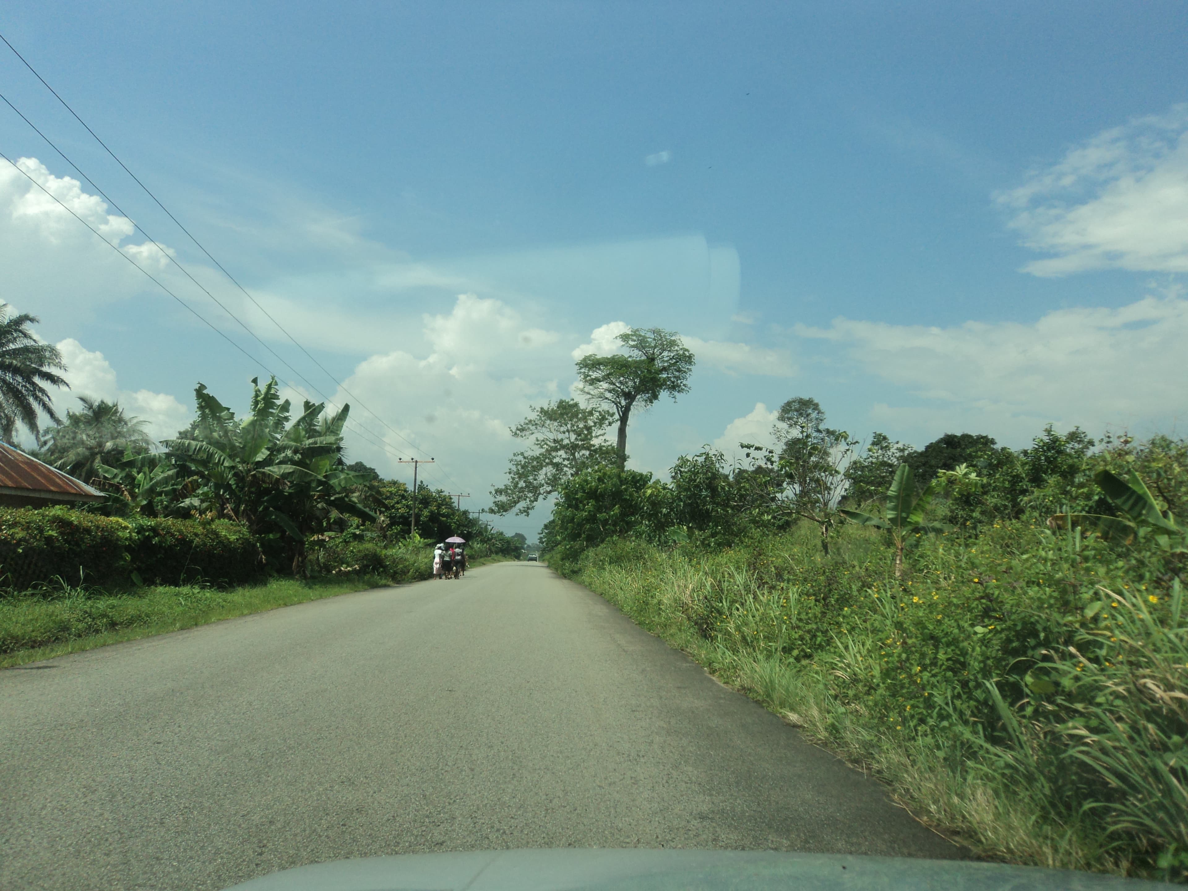 Environmental Impact Assessment